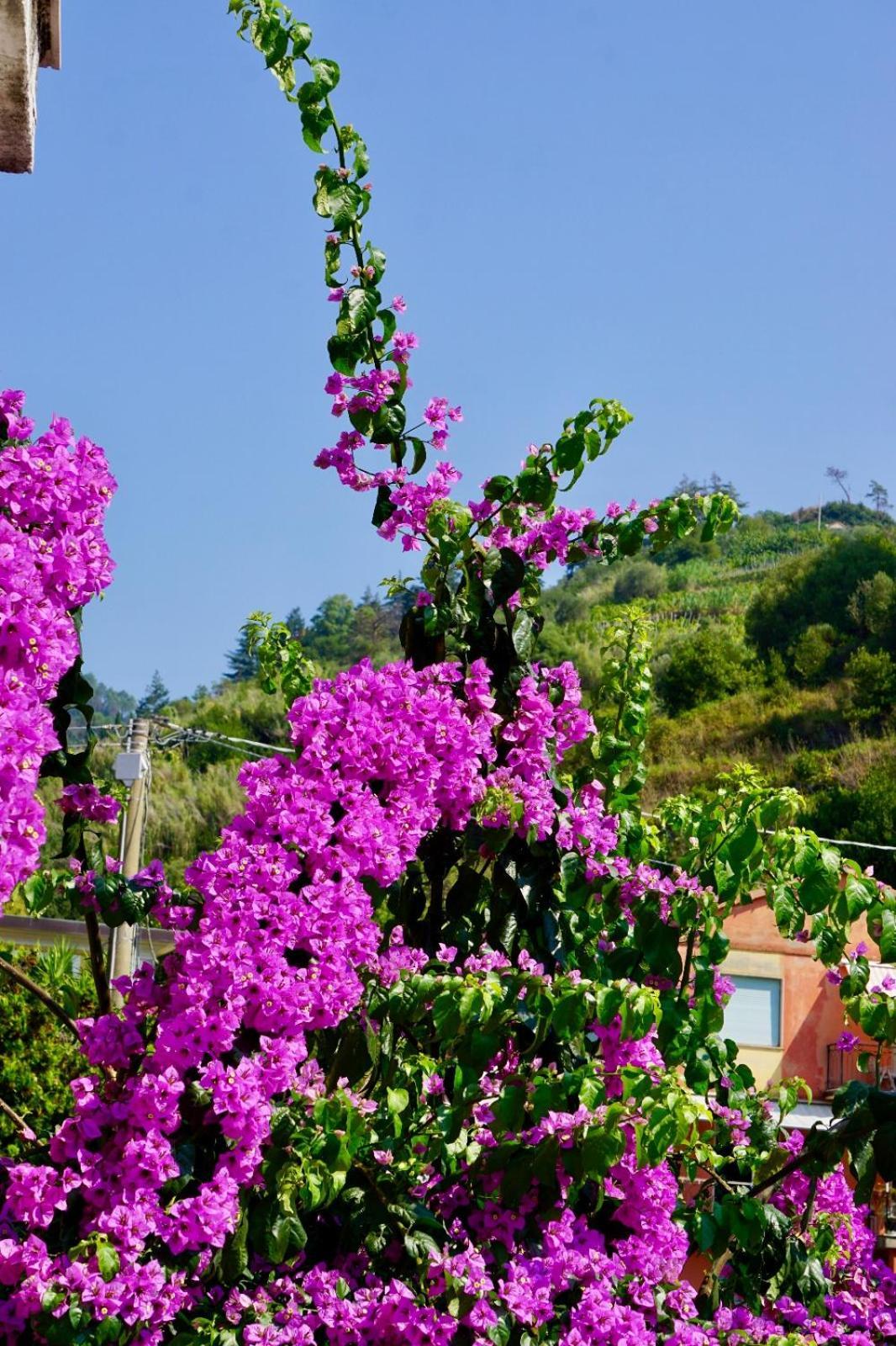 Appartamento Le Conchiglie Monterosso Al Mare Monterosso al Mare Exterior foto