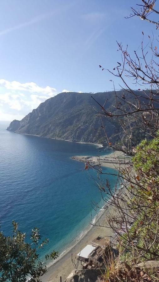 Appartamento Le Conchiglie Monterosso Al Mare Monterosso al Mare Exterior foto