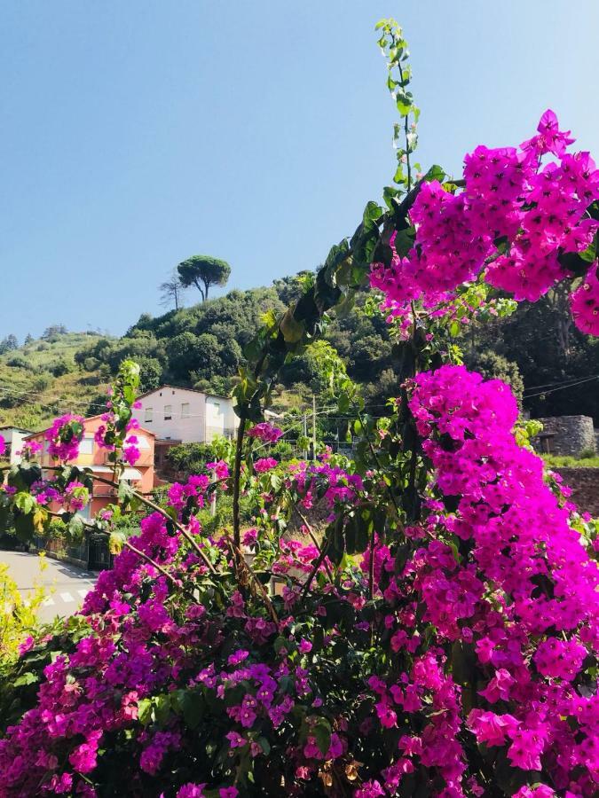 Appartamento Le Conchiglie Monterosso Al Mare Monterosso al Mare Exterior foto